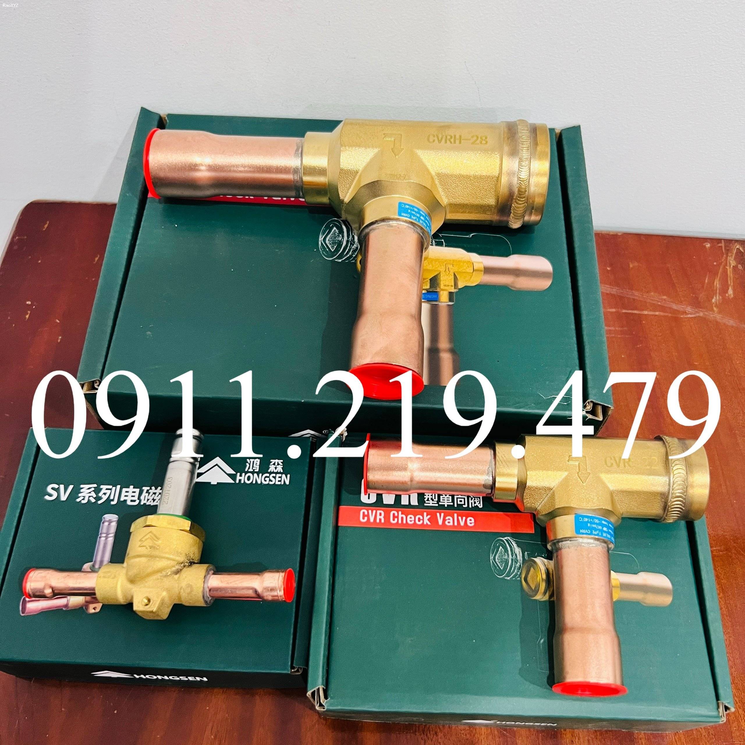 0911.219.479, cung cấp van 1 chiều check valve giá tốt tại ANKACO